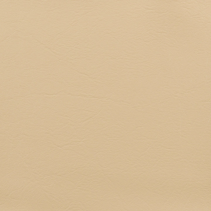 Wise Marine Grade Vinyl Swatch - Wise Sand CP715 | Deluxe Pontoon